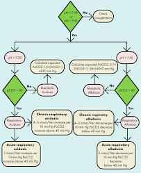 Image result for Calculated PaCO2