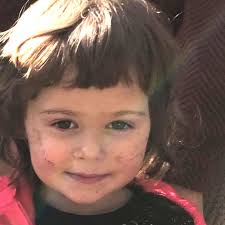 Horseback rider, loggers and dog rescue girl, 2, lost