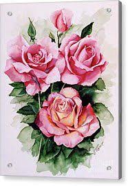 Spirit hitam putih s pandji online. 240 Ilustrasi Floral Ideas Taman Herba Kerusi Rehat Basikal