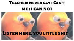 Create/edit gifs, make reaction gifs. Listen Here You Little Sh Meme Compilation Youtube