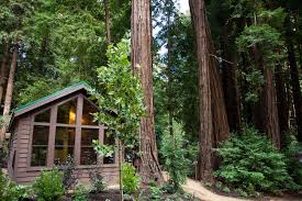 Maybe you would like to learn more about one of these? Big Sur Hotels A Redwood Adventure On The Magnificent California Coast Ecophiles