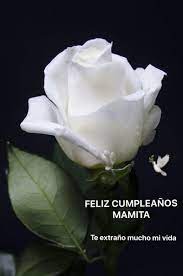 Mamá, hoy en el cielo están de fiesta. Facebook