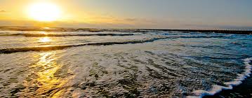 Prices can vary, but right now we believe that flexibility matters. Surfside Beach