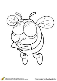 coloriage insecte et bestiole mouche en 2021 insectes animaux coloriages de hadrosaures lambeosaurus