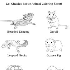 736x639 cute tiger cub 878x674 snow leopard coloring pages leopard coloring page enchanting gecko. Coloring Pages Dr Chuck Books