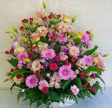 Csodás virágok Cilától updated... - Csodás virágok Cilától