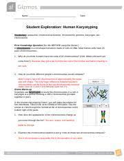 Maybe you would like to learn more about one of these? Human Karyotyping Docx Name Date Student Exploration Human Karyotyping Vocabulary Autosome Chromosomal Disorder Chromosome Genome Karyotype Sex Course Hero