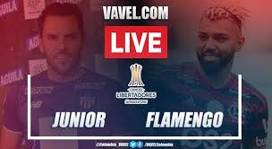 Transmisión del partido online el encuentro entre el equipo colombiano y el chileno dejará a uno de los dos clasificado a las semifinales de la copa sudamericana. Resumen Junior Vs Flamengo Por Copa Libertadores 1 2 02 07 2021 Vavel Colombia