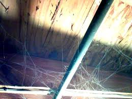 Maybe you would like to learn more about one of these? If If If And The Very Scary Basement