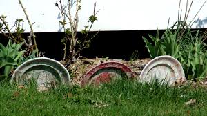 Step 10 cut in control joints about every eight feet using a margin trowel. Best Lawn Edging Materials For Your Home