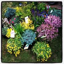 When carefully selected, wave after wave of colorful blooms will be. Perennial Garden Plans For Partial Sun Or Shade Perennial Garden Plans Part Shade Perennials Shade Perennials