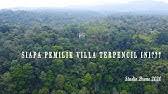 Tidak hanya kelompok primata yang mendiami rawa dano. Wisata Alam Rawa Danau Serang Banten Youtube