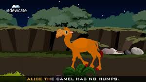 Melissa wright submitted the lyrics for this song. Edewcate English Rhymes Alice The Camel Has Five Humps Youtube