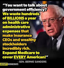 Liz Cheney/Adam Kinzinger Against Trump