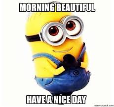 Morning cute sunshine meme memes funny baby animals panda happy quotes silly kickstart animal therandomvibez pandas smile face friday humor. 80 Good Morning Memes To Kickstart Your Day Sayingimages Com