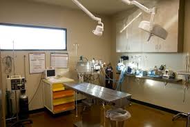 It's also adopt a shelter cat month, which brings attention to the fact that millions of felines are in. Pet Medical Center Spa 21 Photos 64 Reviews Veterinarians 621 W Fallbrook Ave Fresno Ca United States Phone Number