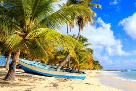 Vliegtickets Dominicaanse Republiek Goedkope Vliegreis Naar De Zon Tui Fly Dominicaanse Republiek Isla Saona Vliegtickets