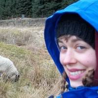 PDF) Playing at the Margins: Colonizing Fictions in New England Larp