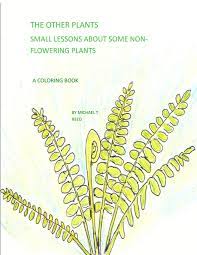 This reduces competition with the parent plant for light, water, and important nutrients. Amazon Com The Other Plants Small Lessons Of Some Non Flowering Plants A Coloring Book 9781986734127 Reed Michael T Books