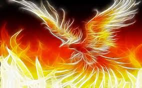 Phoenix Hd Wallpaper Phoenix Wallpaper Pictures Of Phoenix Abstract