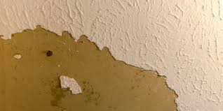 How To Cover Popcorn Ceiling Without Removing It Dallas Paints