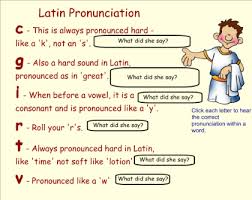 smart exchange usa latin 1st declension noun chart and