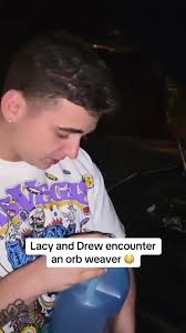 Where Can You Find An Orb Weaver Egg