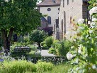 Verschiedene Krauter Aus Dem Krautergarten Hotel Urlaub Reisen Erholung Kochen Geniessen Klosterhotel Klosterhor Kloster Pflanzen Hotels In Der Pfalz