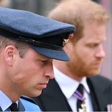Prince William Faces A 'Tricky Choice' As Prince Harry Lands In The UK