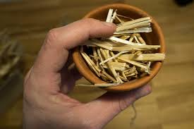 Unterschlupf Fur Ohrenschlitzer Bauen Ohrenzwicker Unterkunft Ohrenzwicker Ohrenkneifer Anleitungen