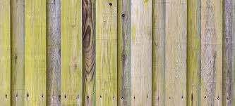 Pressure washing a fence is simple if you know what detergent and accessories to use. How To Clean Green Algae From Wooden Fences