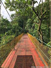 Unfortunately, due to development projects, the areas surrounding bukit kiara is shrinking at an alarming pace. Hiking At Bukit Kiara Taman Tun Dr Ismail Rolling Grace Your Travel Food Guide To Asia The World