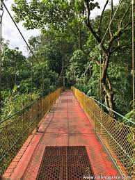 Taman persekutuan bukit kiara previously known as the west valley park. Hiking At Bukit Kiara Taman Tun Dr Ismail Rolling Grace Your Travel Food Guide To Asia The World