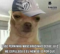 It will be published if it complies with the content rules and our moderators approve it. Dinizismo Ta On Torcedores Do Santos Comemoram Vitoria Diante Do Boca Juniors Galerias