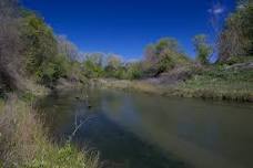 Birding the Woodbridge Wilderness Area