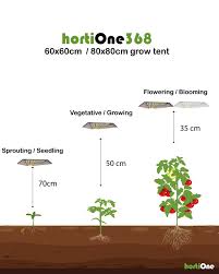 Check spelling or type a new query. Replacement And The Right Distance Of Your Grow Light Hortione Com