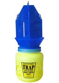 These Lady Bug Stink Bug Traps Work Best So Far Stink Bugs Stink Bug Trap Mason Bees