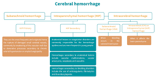 Image result for Hemorrhage Classification