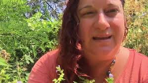 Skullcap (Scutellaria) Medicine