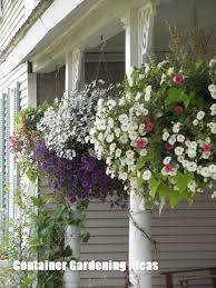 Container Gardening Ideas For Your Home Hanging Flower Baskets Garden Containers Container Gardening