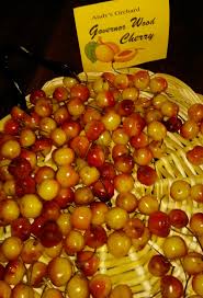 Maybe you would like to learn more about one of these? Fruit Tasting At Andy S Orchard June 18 2017 Pictures Growing Fruit