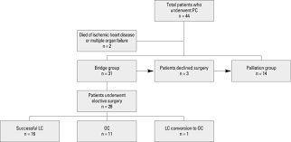 Flow Chart Of Outcomes In 44 Patients With Acute