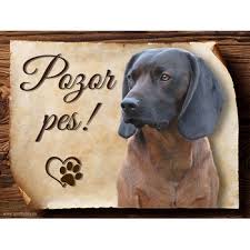 Image result for bavorský barvář