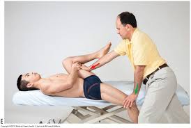 Image result for Pelvic Compression Test