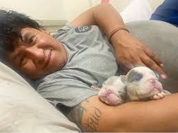 SEATS OF YOUR CHOICE GIVEAWAY !!!!🚨🚨🚨 TAP IN FOR A CHANCE TO WIN THIS  boxchevy gbody abody trucks suvs SEATS !!!!🚨🚨🚨🚨💥💥💥🏅 WINNERS CHOICE  🏆 $50 a spot. 1-80 Last Ball 🎱 Out