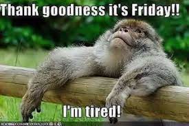 Pin On Have A Great Day Y All