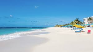 Beach Background For Zoom Google Search Beach Background Background Beach