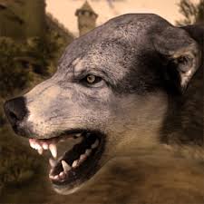 Life of wolf 2014 mod: Ultimate Wolf Simulator Mod Apk V0 1 Download Apk Fuse