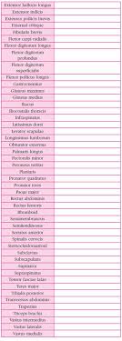 Solved Muscle Nomenclature Chart Chegg Com