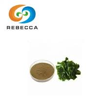 ʻO Kina Kelp Extract Powder Free Sample ...